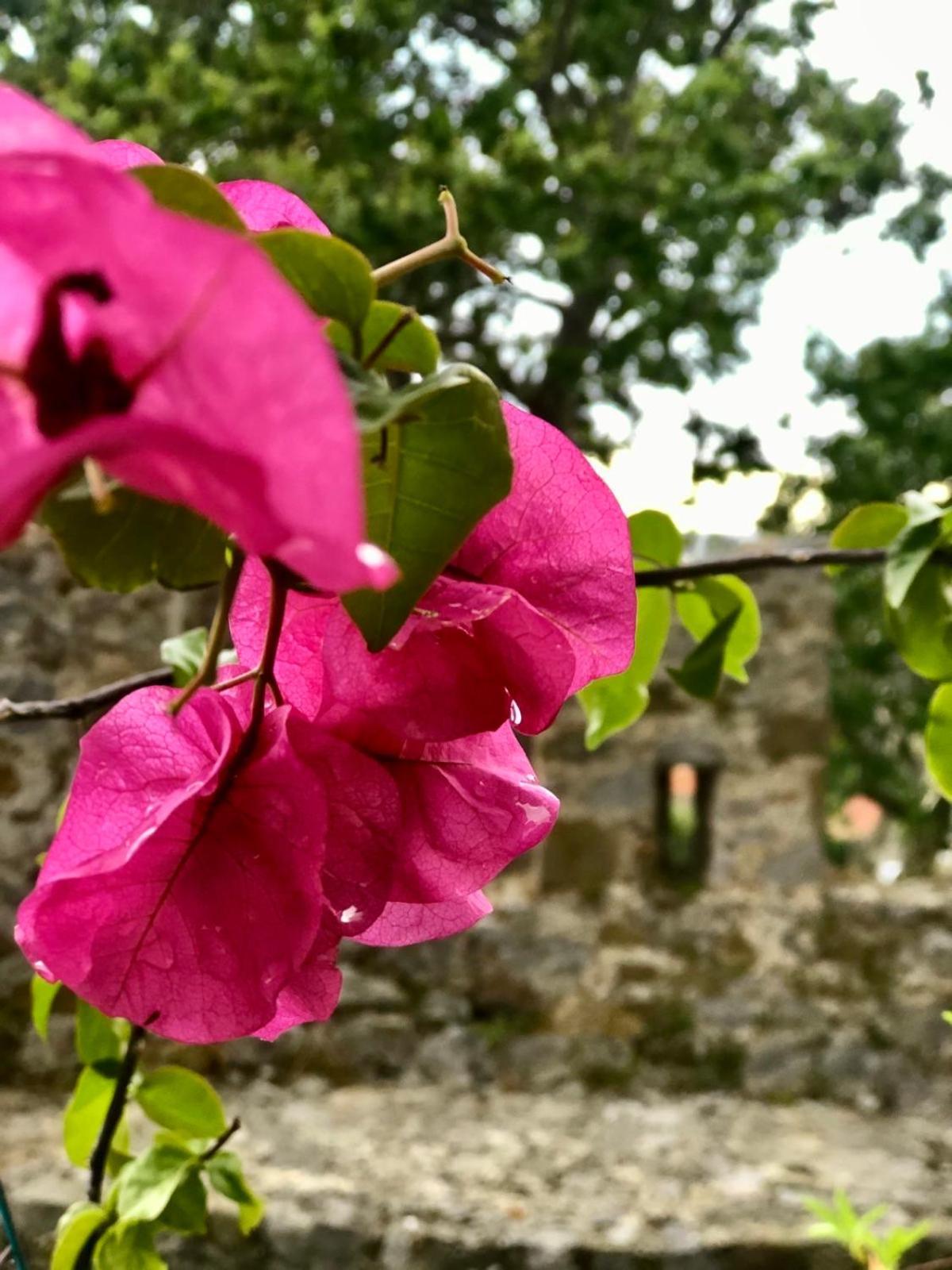 Sideroporta Castle Nafpaktos Vendégház Kültér fotó
